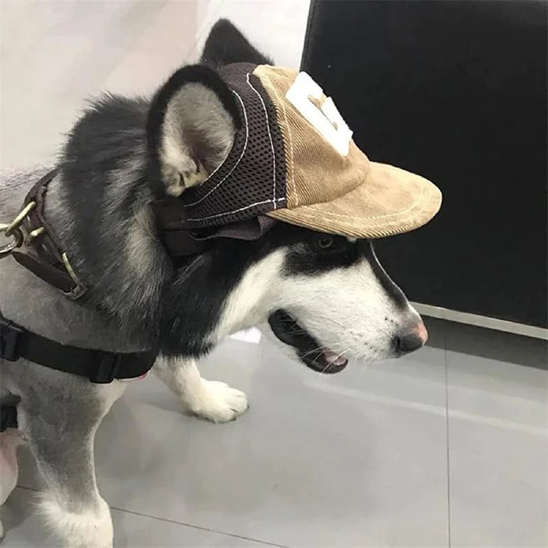 Dog Sunscreen Hat Baseball Cap