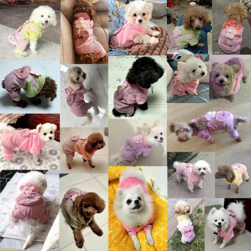 Pet Dog Clothes Autumn Winter